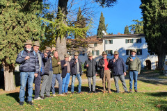 88-2021-Mezzane-121420