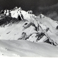 Orgère